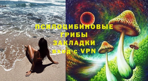 не бодяженный Аркадак