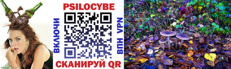 ссылка на мегу   Кремёнки  Псилоцибиновые грибы MAGIC MUSHROOMS  продажа наркотиков 