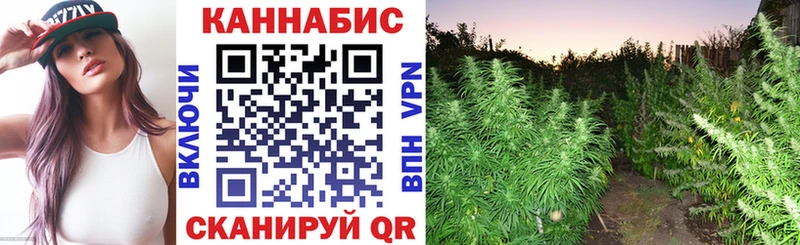Бошки Шишки Amnesia  Кремёнки 